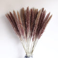 Dried Pampas Grass Bouquet - Wholesale from Yunnan Factory