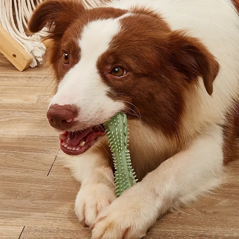 Durable Dog Toothbrush Chew Toy Stick - 3pcs Set