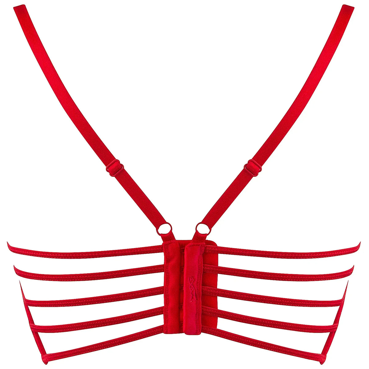 Axami Valentine Longline Plunge Sheer Lace Bra