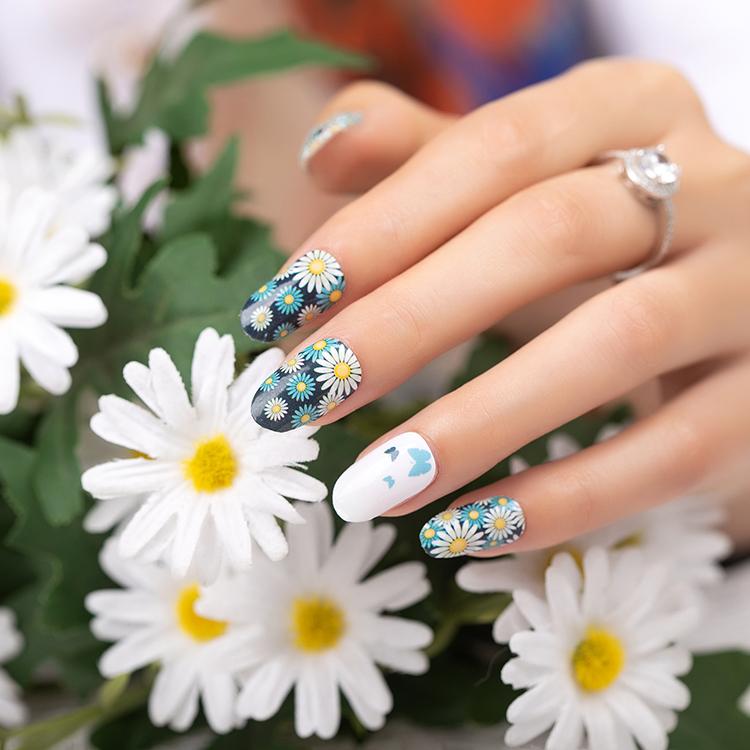 Daisy's and Butterflies